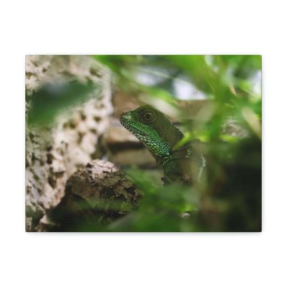 Funny Water Dragons Silly Water Dragons Scene Inside Wall Art Ready to Hang Unfr